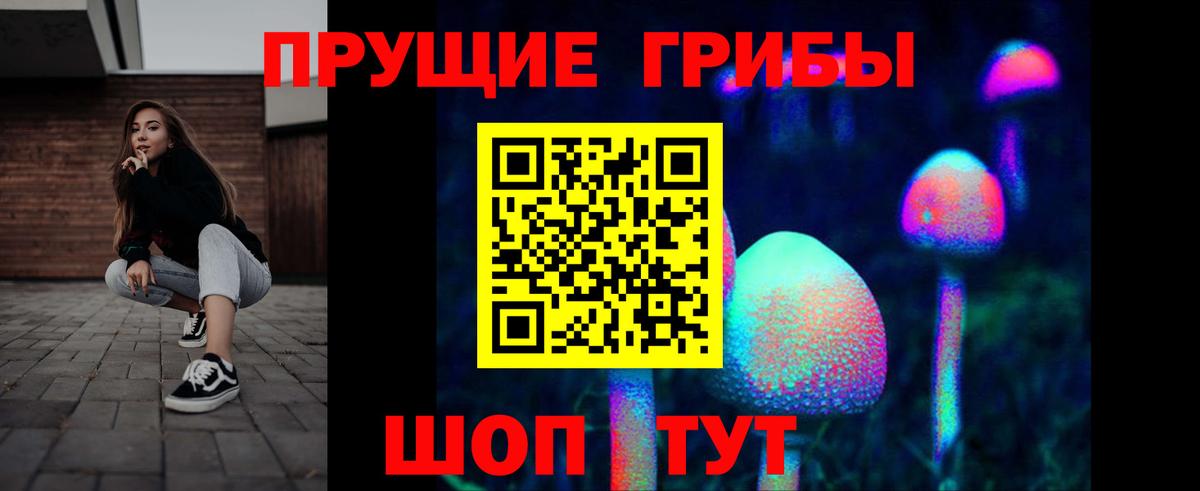 Псилоцибиновые грибы Cubensis Алушта
